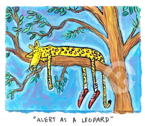 Matt Rinard Alert as a Leopard